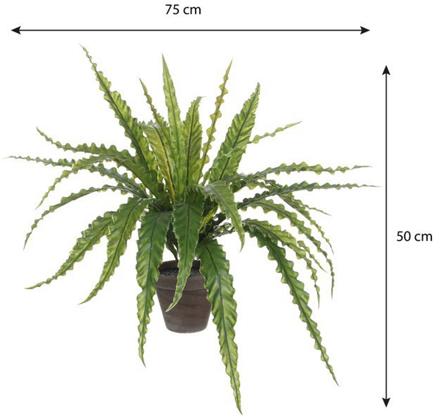 Kunstplant Asplenium Groen
