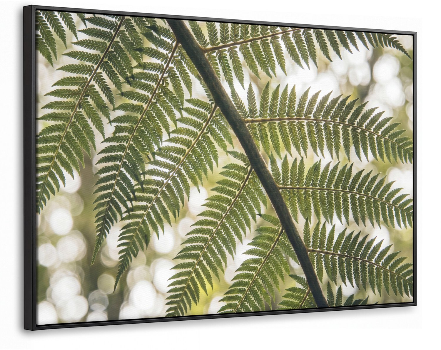 Canvas Schilderij met Baklijst - Plant - Blad - Natuur - Groen - Detail