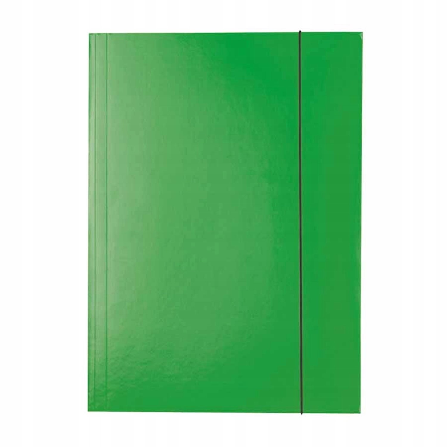 Esselte A4 map met elastiek, gelakt groen
