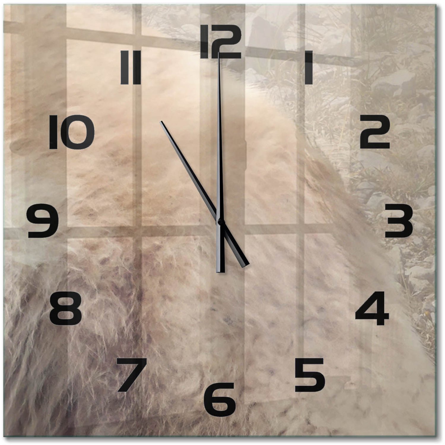 TULUP Wandklok - Witte wolf op de rots Moderne Wandklok Glas - 60x60 cm - Beige Wandklok Glas Decoratie - Zwarte handen - Vierkante Klok - Glazen Wandklok Design - Klok Glas Met Opdruk