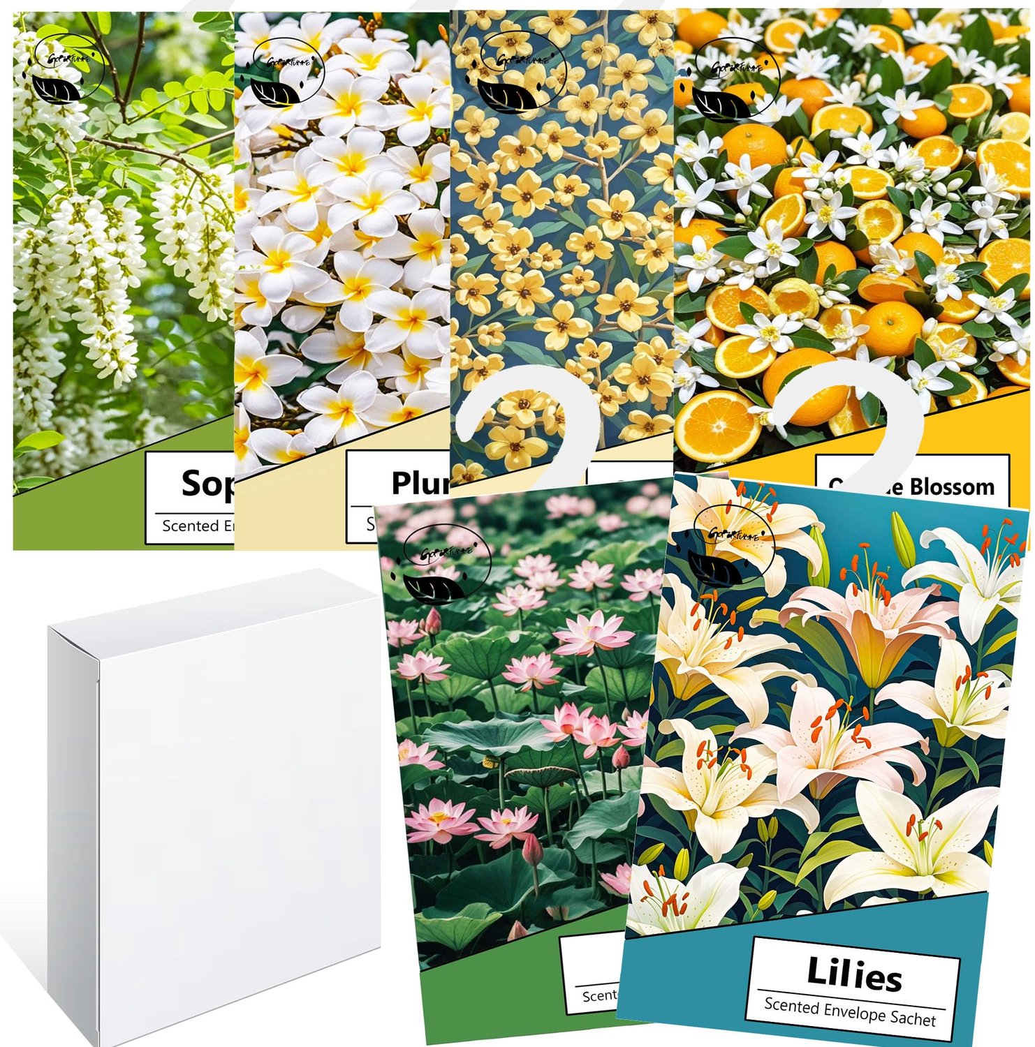 Set van 6 Geurzakjes voor Kasten en Laden met Natuurlijke Geuren