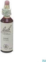 Vine/Wijnrank Bach