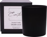 Tiger Lily Modesty Geurkaars - Zwart