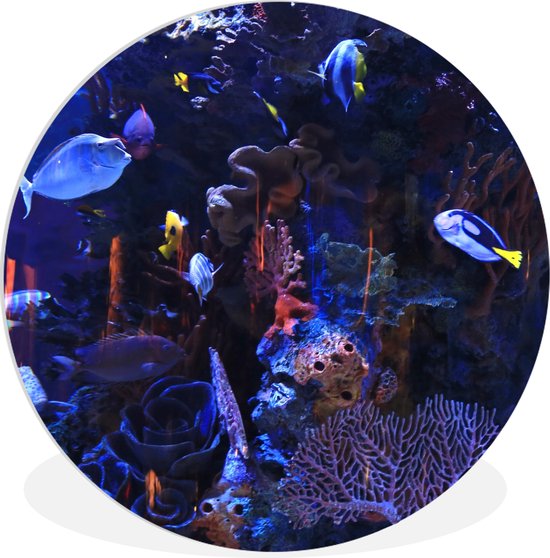 Décoration Flottante Pour Aquarium – Boule Réglable Pour Ajuster La Flottabilité – Indicateur De Courant D’Eau – Résine Sûre - 2
