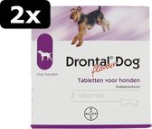 2x - DRONTAL HOND 2TBL