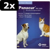 2x PANACUR H/K 250MG 10TB