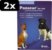 2x PANACUR H/K 500MG 10TB
