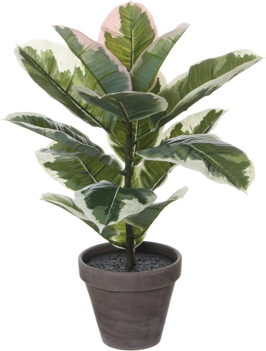 Mica Decorations Kunstplant Ficus 'Elastica' Groen - H 47cm - Keramiek sierpot - Mica Decorations Variegated, groen