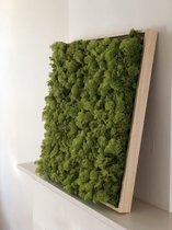 Mosschilderij in houten lijst - Limegroen Rendiermos - 20 x 30 cm