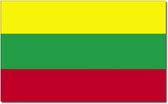Set van 2x stuks vlag Litouwen 90 x 150 cm feestartikelen - Litouwen landen thema supporter/fan decoratie artikelen