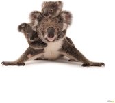Komar Koala Vlies Fotobehang 300x280cm 6-delen