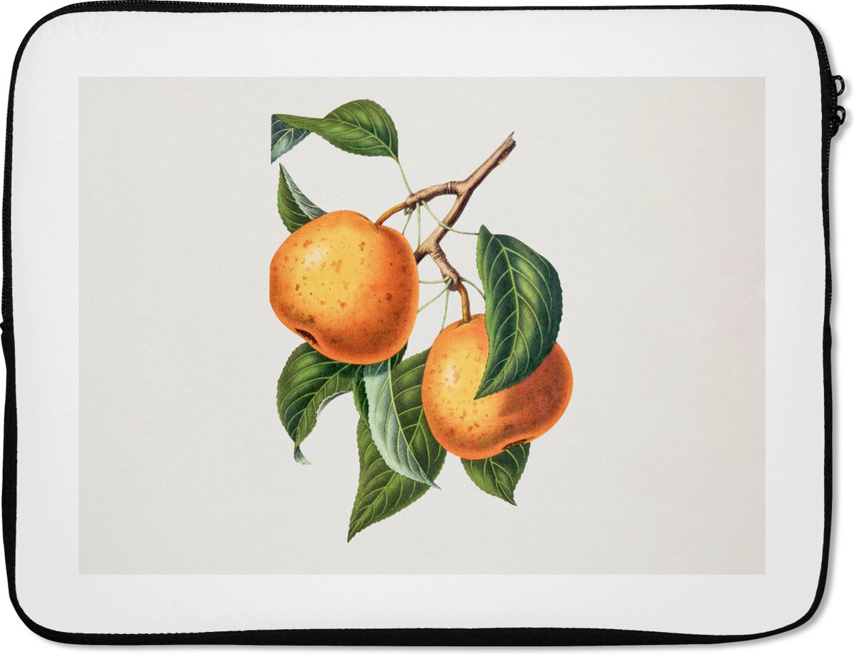 Laptophoes 15.6 inch - Fruit - Boom - Eten - Laptop sleeve - Binnenmaat 37x26 cm - Zwarte achterkant