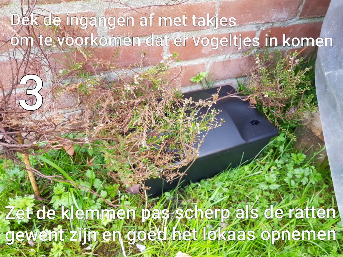 Professionele Rattenvoerdoos + 2 klem