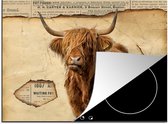 KitchenYeah® Inductie beschermer 71x52 cm - Hooglander - Vintage - Krant - Kookplaataccessoires - Afdekplaat voor kookplaat - Inductiebeschermer - Inductiemat - Inductieplaat mat