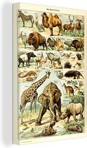 Canvas - Kameel - Giraffe - Dieren - Olifant - Afrika - Canvasdoek - Muurdecoratie - Schilderijen op canvas - 120x180 cm