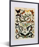 Fotolijst incl. Poster - Adolphe Millot - Vlinder - Dieren - Insecten - Vintage - 30x40 cm - Posterlijst