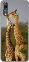 Geschikt voor Huawei P20 hoesje - Giraf - Boom - Kalf - Portret - Siliconen Telefoonhoesje