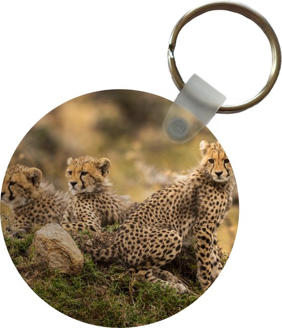 Pols sleutelhanger panter – sleutelhanger met naam | Louka