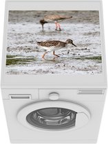 Wasmachine beschermer mat - Twee tureluurs op de drassige ondergronden - Breedte 55 cm x hoogte 45 cm