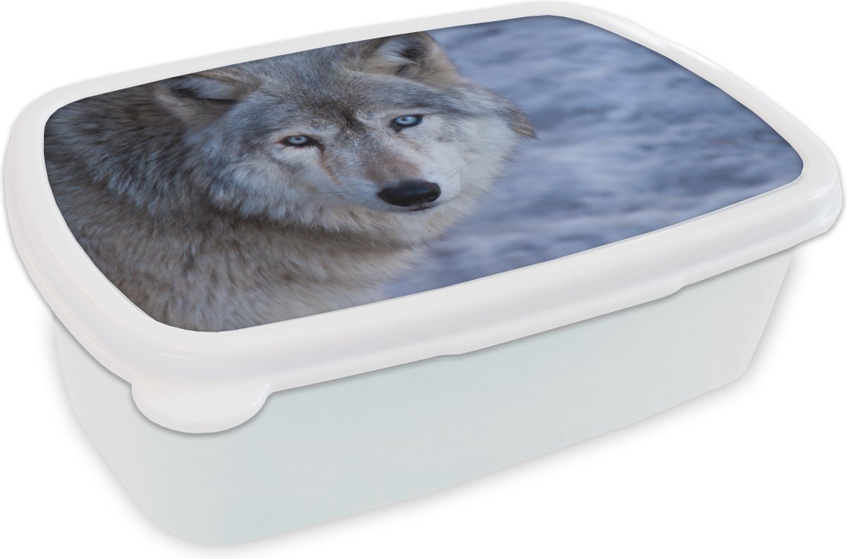 Broodtrommel Wit - Lunchbox - Brooddoos - Kop van grijze wolf - 18x12x6 cm - Volwassenen