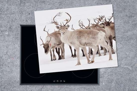KitchenYeah® Inductie beschermer 65x52 cm - Een kudde rendieren - Kookplaataccessoires - Afdekplaat voor kookplaat - Inductiebeschermer - Inductiemat - Inductieplaat mat