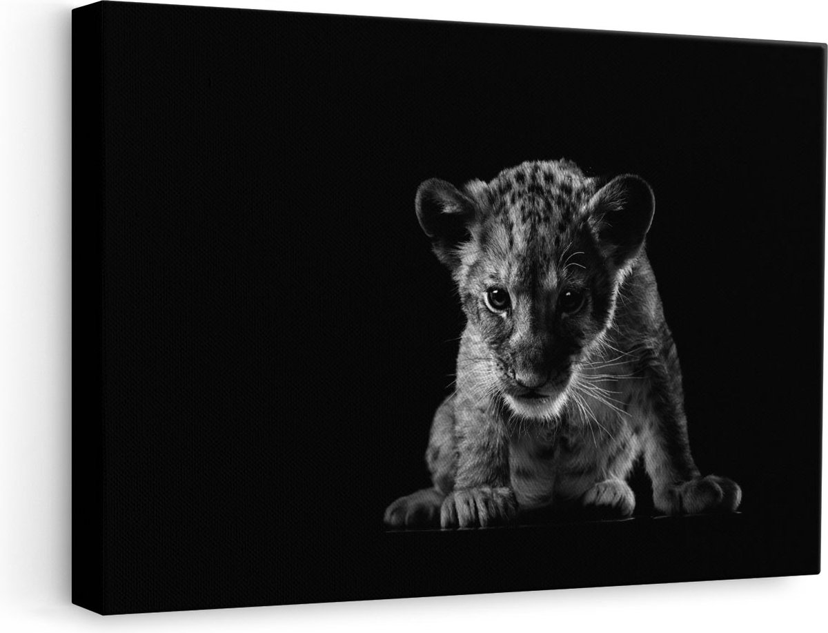 Artaza Canvas Schilderij Leeuwen Welp op het Zwart - Baby Leeuw - Zwart Wit - 60x40 cm - Wanddecoratie Woonkamer - Schilderijen - Muurdecoratie