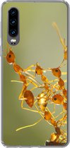 Geschikt voor Huawei P30 hoesje - Mieren - Oranje - Dieren - Siliconen Telefoonhoesje