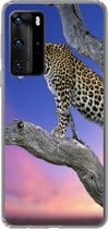 Geschikt voor Huawei P40 Pro hoesje - Luipaard - Boom - Tak - Siliconen Telefoonhoesje