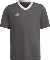 adidas - Entrada 22 Jersey Youth - Grijs Sportshirt-116