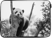 Laptophoes 13 inch - Panda leunt op een boom - zwart wit - Laptop sleeve - Binnenmaat 32x22,5 cm - Zwarte achterkant