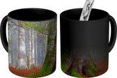 Magische Mok - Foto op Warmte Mok - Dikke bomen in het Nationaal Park Bayerischer Wald - 350 ML - Uitdeelcadeautjes