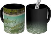 Magische Mok - Foto op Warmte Mok - Tropische haaien - 350 ML - Uitdeelcadeautjes