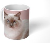 Mok - Witte Perzische kat met blauwe ogen - 350 ML - Beker - Uitdeelcadeautjes