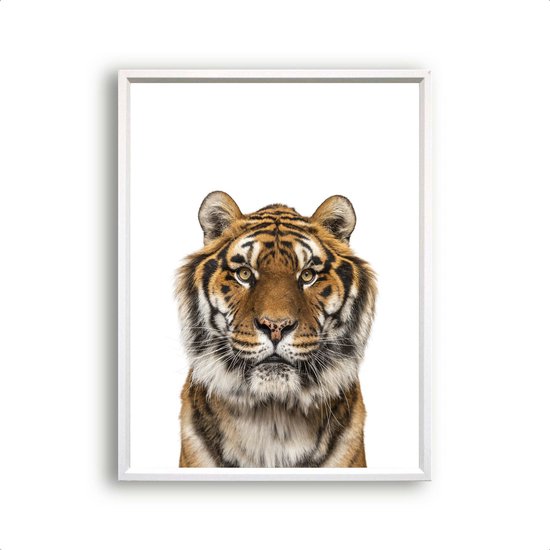 Poster Jungle / safari tijger hoofd / Jungle / Safari / 30x21cm