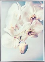 Poster Met Metaal Zilveren Lijst - Orchideeën Bloemen Poster