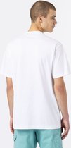 Dickies Mount Vista Short Sleeve T-shirt - White