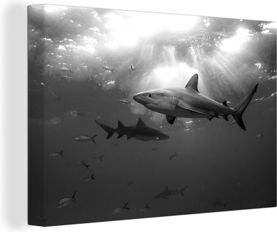 Canvas Schilderij Een aantal haaien zwemmen tussen de vissen - zwart wit - 120x80 cm - Wanddecoratie
