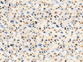 Sanders & Sanders fotobehang terrazzo blauw, beige en bruin - 600971 - 3.6 x 2.7 m