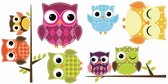 raamstickers Uil 62 x 31 cm vinyl 6-delig