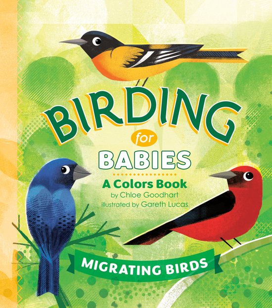 Foto: Birding for babies migrating birds