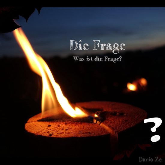 Die Frage - cover