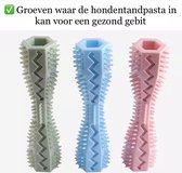 Honden tandenborstel roze tand borstel tanden huisdier speeltje speelgoed toys dog toothbrush verzorging gezondheid gebit gezond  speelgoed speeltje