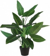 kunstplant Strelitzia 50 x 130 cm groen