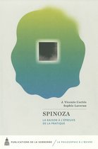 La philosophie à l’œuvre - Spinoza