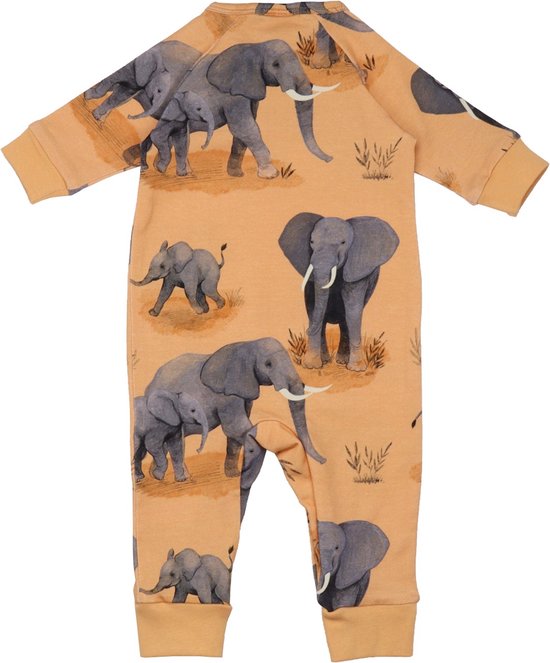 Elephant Family Boxpakjes Bio-Babykleertjes Bio-Kinderkleding