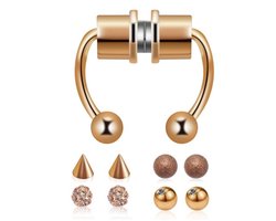 Cabantis Punk Neuspiercing - Fake Piercing - Neusring - Oorbellen - Festival - Magnetisch - Uitwisselbaar - Rose-gold 4 delig