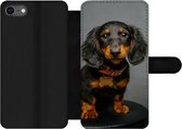 Bookcase Geschikt voor iPhone SE 2020 telefoonhoesje - Studio foto van teckel puppy - Met vakjes - Wallet case met magneetsluiting