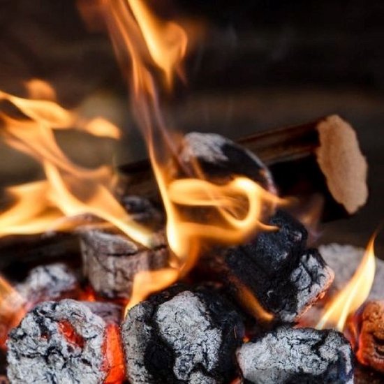 Briquettes en bois chêne bois de chauffage cheminée poêle RUF briquette  charbon
