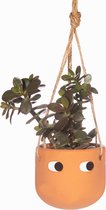 Hangende bloempot terracotta ogen - Sass & Belle