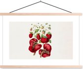 Support pour affiches avec affiche 120 x 80 cm - Affiche scolaire - Fraises - Fruits - Plantes - Affiche textile - Lattes vierges